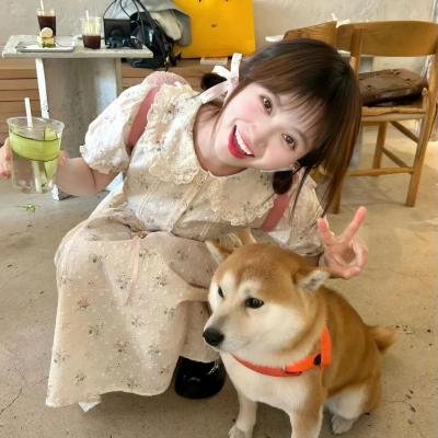 淑女绅士